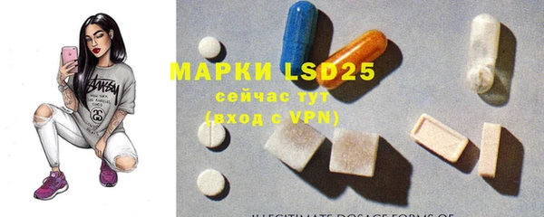 стаф Вяземский