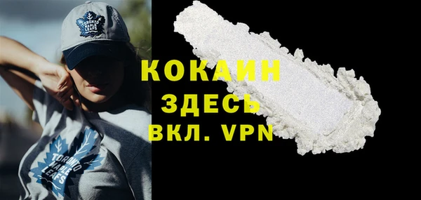 стаф Вяземский