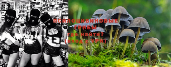 крисы Волоколамск