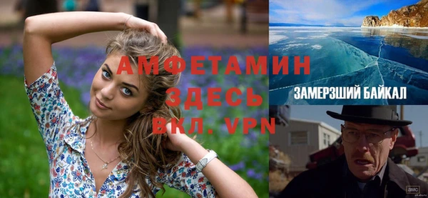 стаф Вяземский