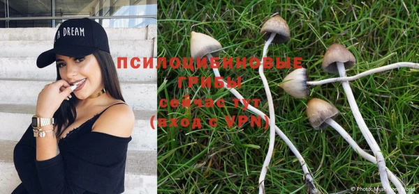 крисы Волоколамск