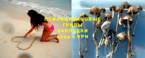 крисы Волоколамск