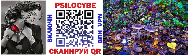 Псилоцибиновые грибы Psilocybine cubensis  Отрадный 