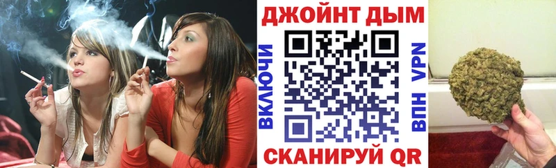 Конопля гибрид  Отрадный 